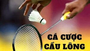 Cá Cược Cầu Lông tại Nhà cái OK88