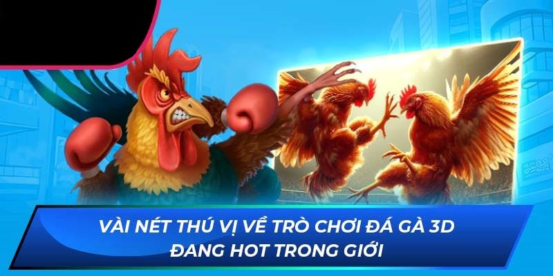 Hướng dẫn chi tiết cách chơi Đá Gà 3D  