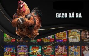 Đá Gà GA28 có mặt tại Thái Lan